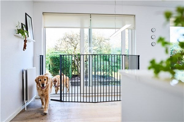 DogSpace ROCKY Large extra tall (105 cm) multi expandable Pet gate, black - Tiny Tots Baby Store 