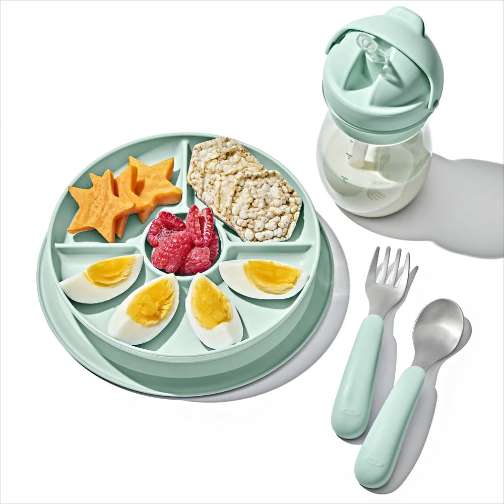 OXO Tot Stick & Stay Suction Divided Plate -Opal - Tiny Tots Baby Store 